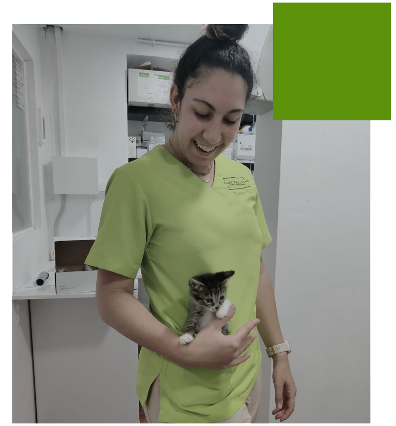 Elena Ces con gatito Cómo Trabajo Kiwi Vet