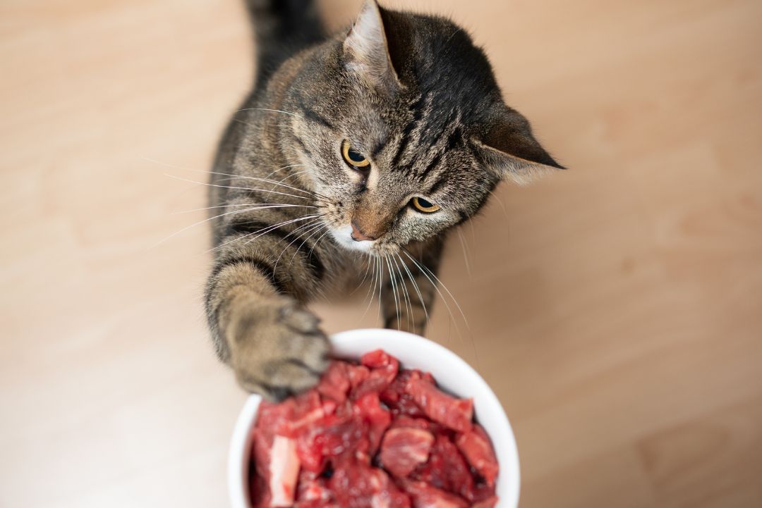 Cómo mejorar su dieta actual